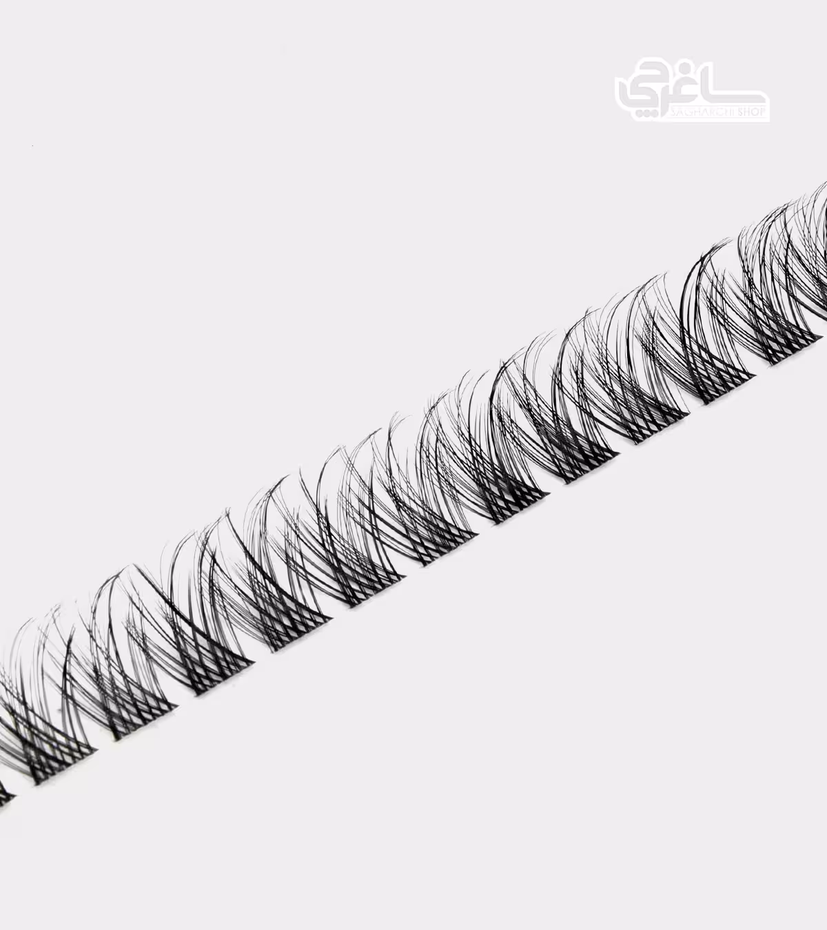 مژه ریسه‌ای فیشر Fisher