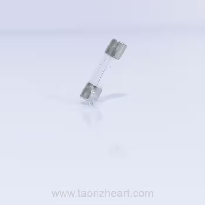 فیوز شیشه‌ای F800mA2Cm