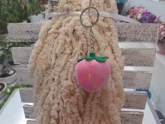 عروسک آویزی توت فرنگی