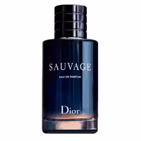 عطر ادکلن دیور ساواج ادو پرفیوم | Dior Sauvage Eau de Parfum 200ml