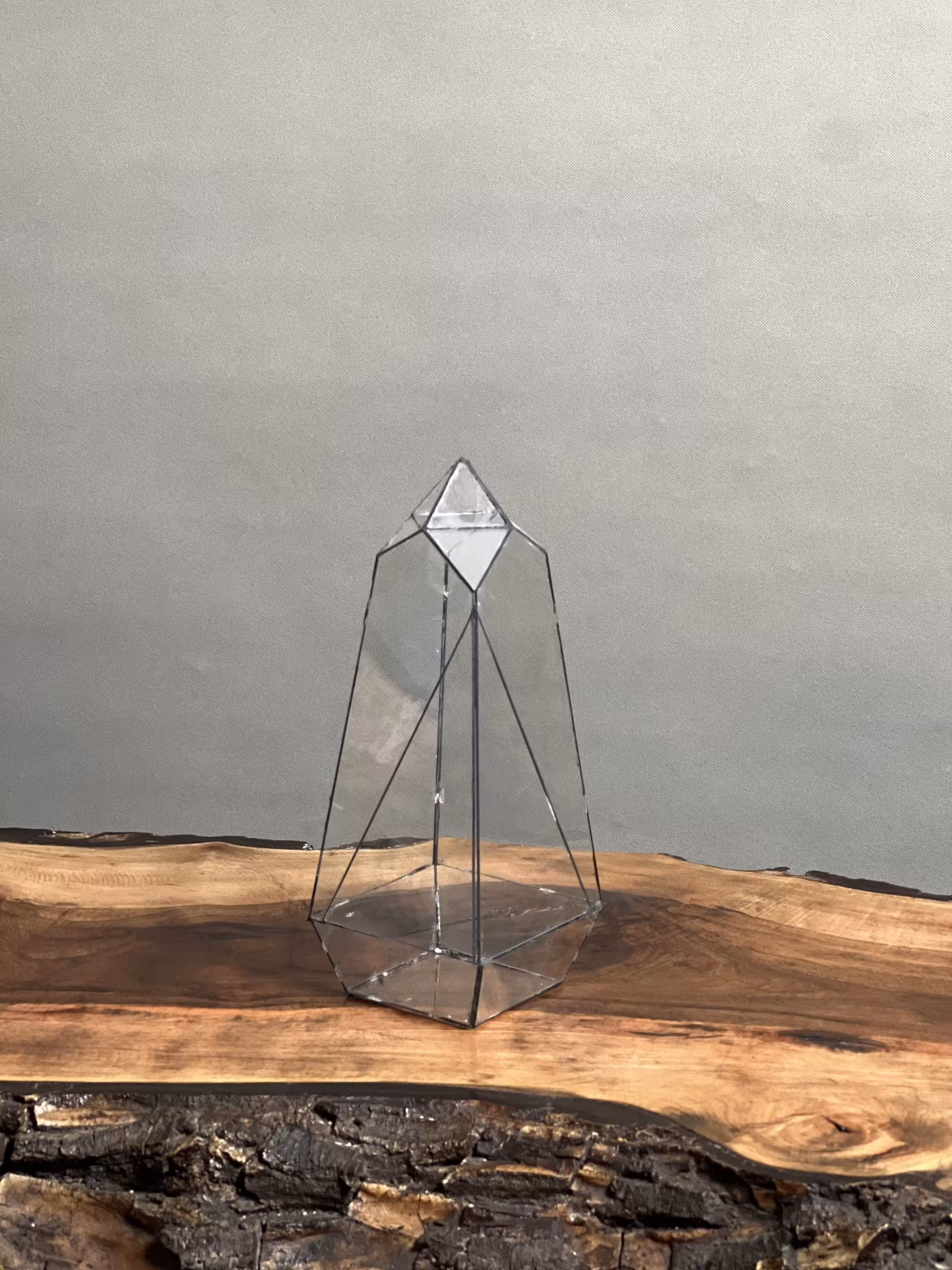 خرید شیشه تراریوم طرح الماس فینقیلی از فروشگاه پلنت لند