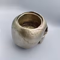 جامدادی مدل جمجمه انسان