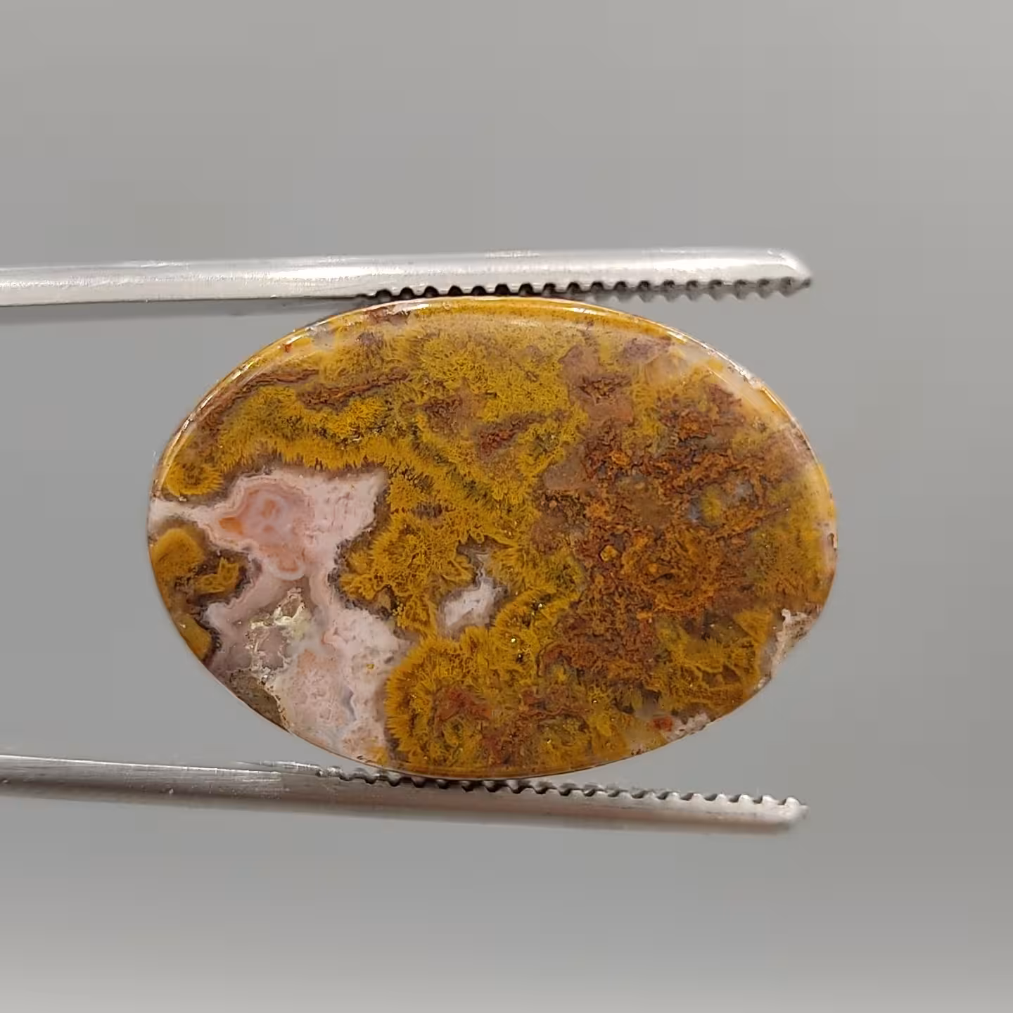 عقیق جاسپر خوش طرح و زیبای نگینی 