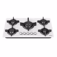 گاز صفحه ای شیشه ای داتیس مدل DG 582 U