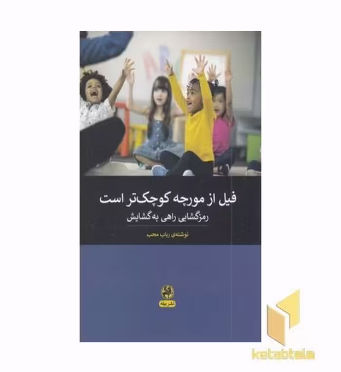 کتاب فیل از مورچه کوچک تر است اثر رباب محب نشر پیله