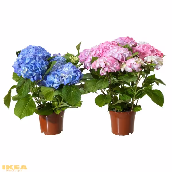 گل مصنوعی 21 cm مدل HYDRANGEA | برند ایکیا | ارسال 15 الی 20 روز کاری