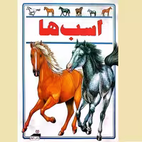 اسب ها