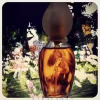 عطر نارسیس کلوهه زنانه معتدل برند SPF