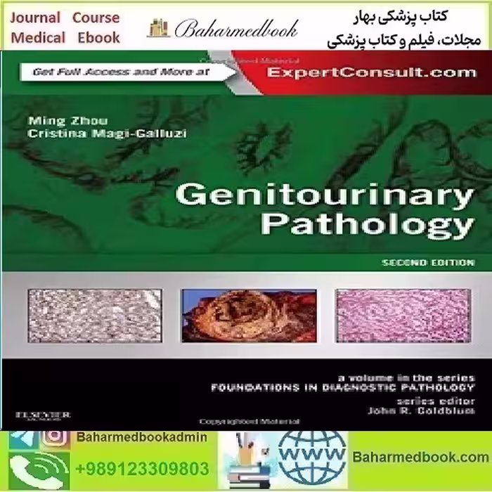 Genitourinary Pathology  Foundations in Diagnostic Pathology