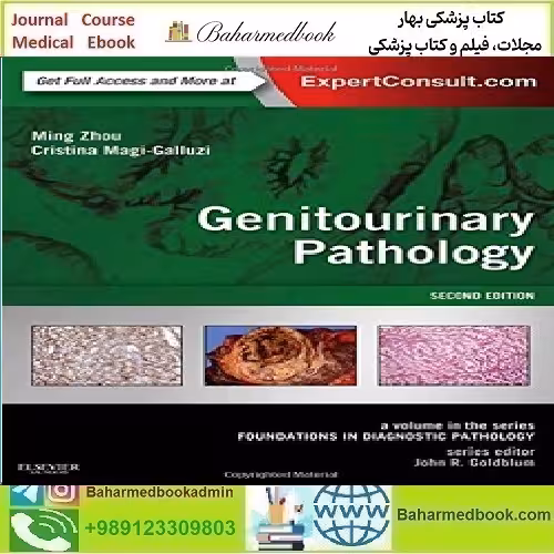 Genitourinary Pathology Foundations in Diagnostic Pathology
