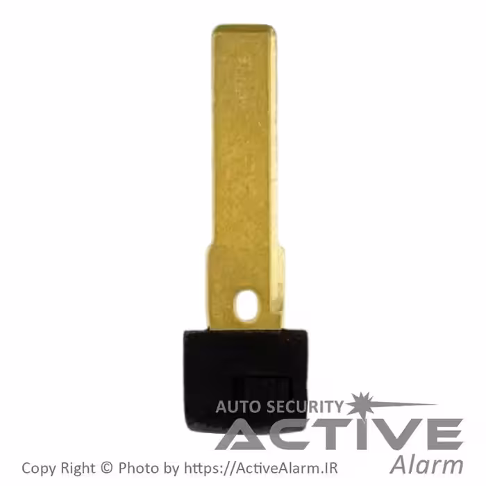 قیمت تیغه ریموت فابریک خودرو پورشه اسمارت