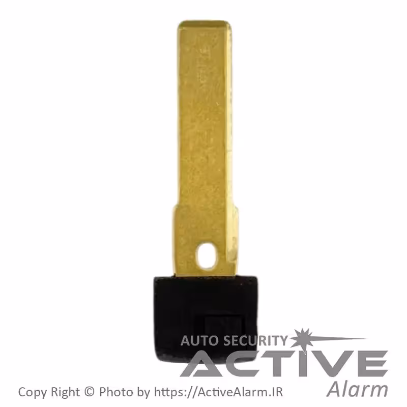 قیمت تیغه ریموت فابریک خودرو پورشه اسمارت