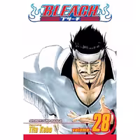 Bleach v28