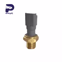 مهره ( فشنگی ) روغن پژو 206 880277 چکاد