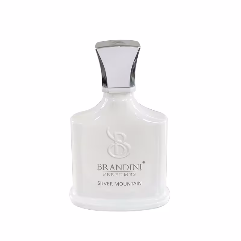 عطر جیبی  برندینی مدل Silver Mountain حجم 33 میلی لیتر