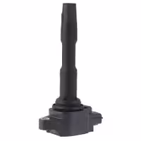 کوئل اصلی کپچر