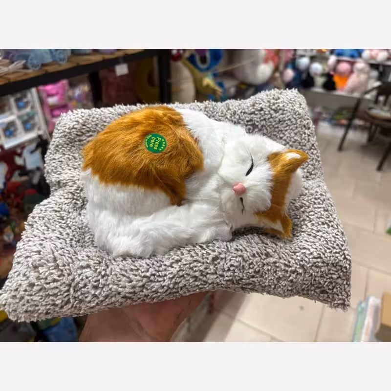 عروسک گربه خوابیده 25سانتی موزیکال(پس کرایه)