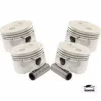 پیستون 206 تیپ 5 – 25 – بدون رینگ  – کارتک