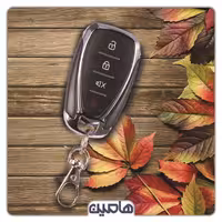 ریموت استیل میت پین کددار طرح