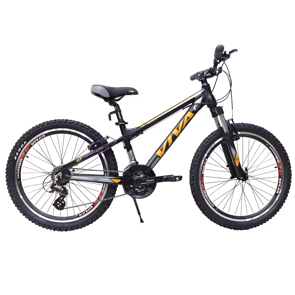 دوچرخه ویوا سایز 24 مدل نایک VIVA NIKE PLUS ویبرک 21 دنده