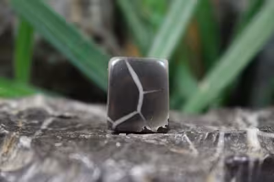 سپتارین مراکش اصل و طبیعی