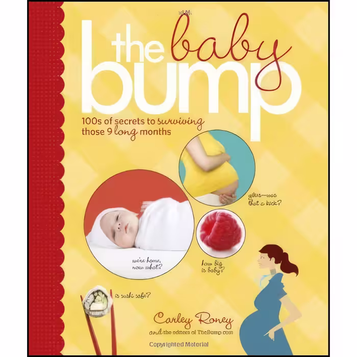 کتاب زبان اصلی The Baby Bump اثر Carley Roney