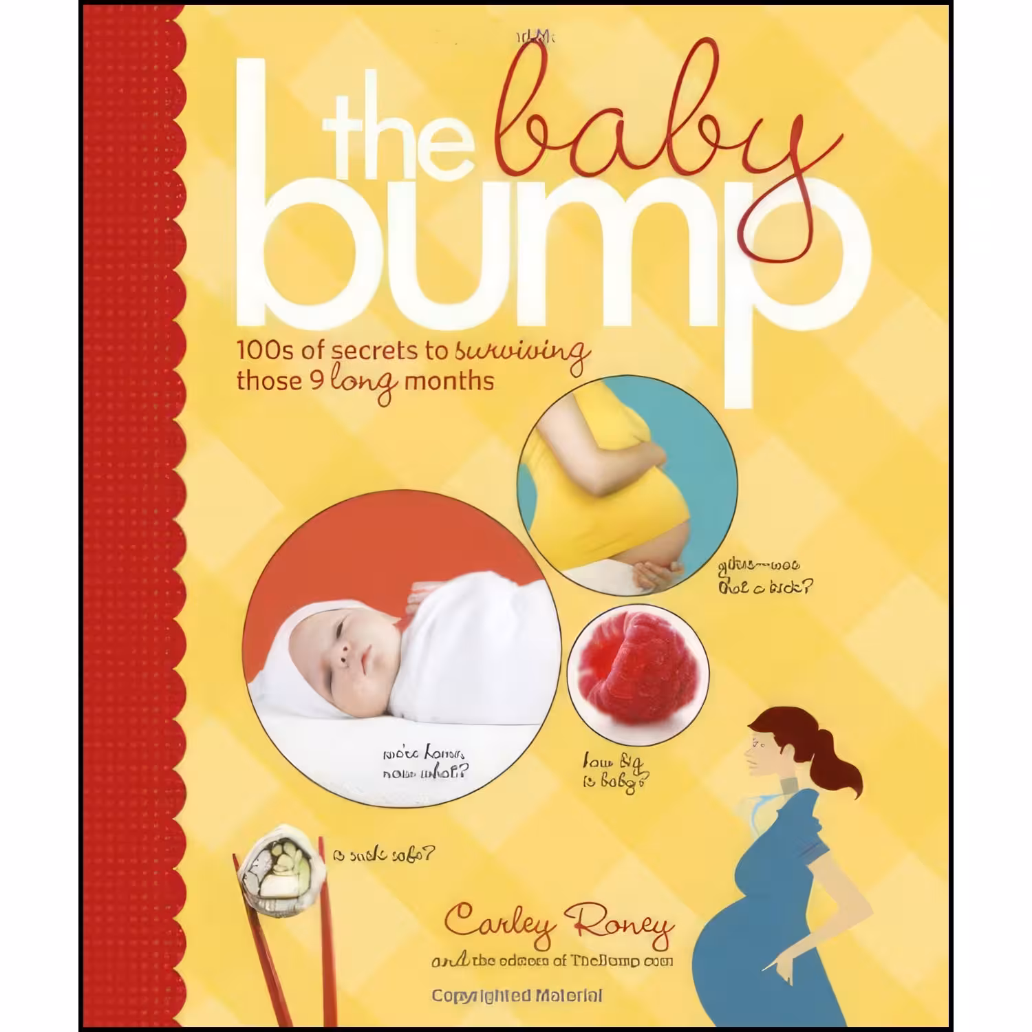 کتاب زبان اصلی The Baby Bump اثر Carley Roney