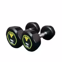 دمبل گرد وزن 5 کیلوگرم