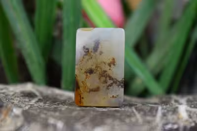 عقیق شجر هند