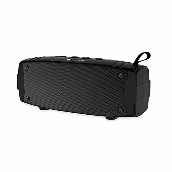 اسپیکر قابل حمل نیوریکسینگ مدل NR-3020 L - پردیس پازار