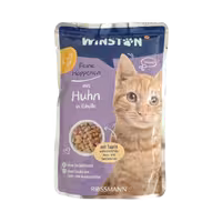 پوچ گربه بالغ با طعم مرغ در پوسته تخم مرغ برند winston وینستون 100 گرمی