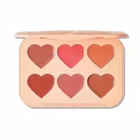 پالت رژگونه کرمی مدل Cottage Core Garden شیگلم