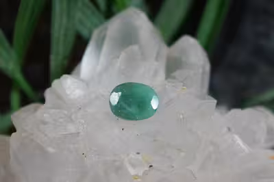 زمرد زامبیا