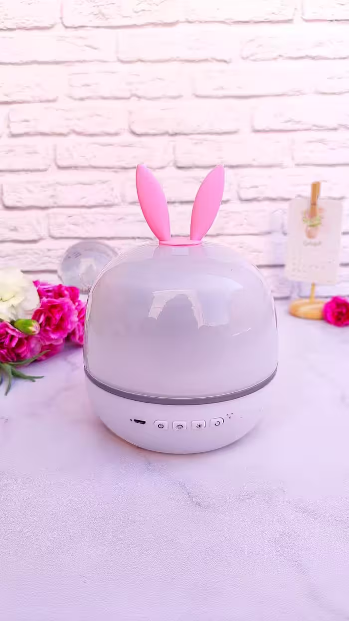 چراغ پروژکتور گردون رویایی