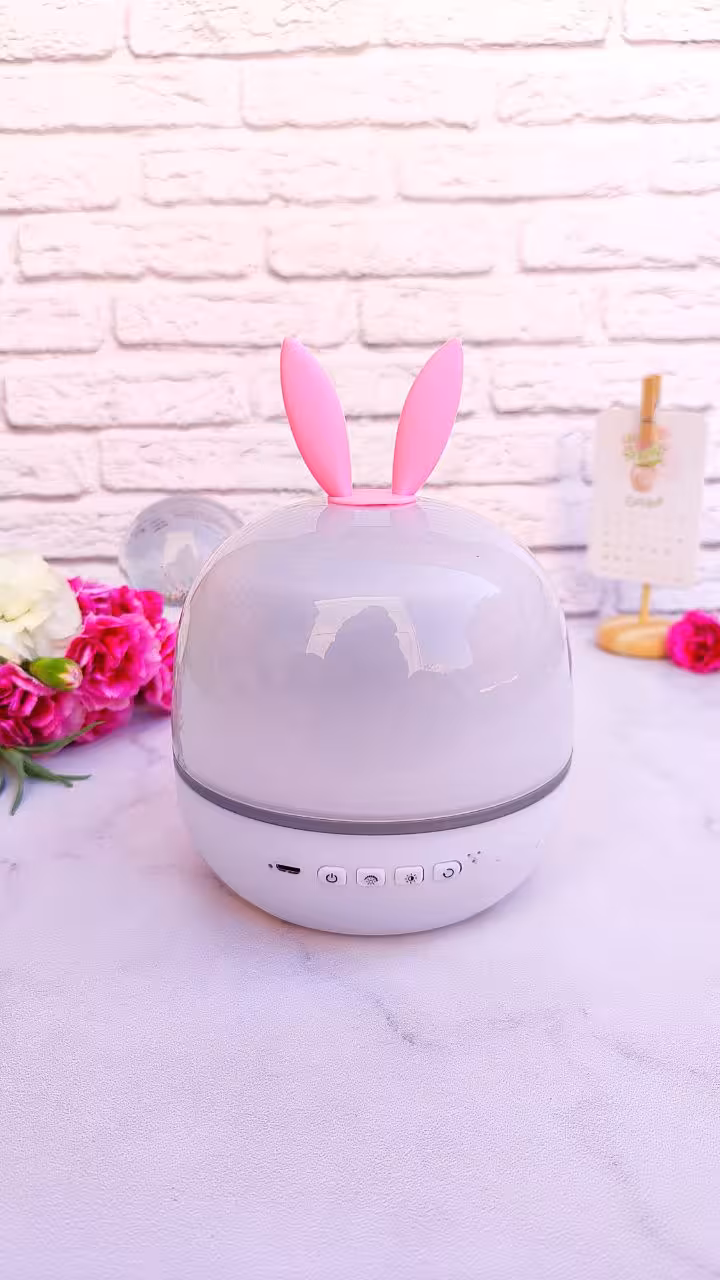 چراغ پروژکتور گردون رویایی
