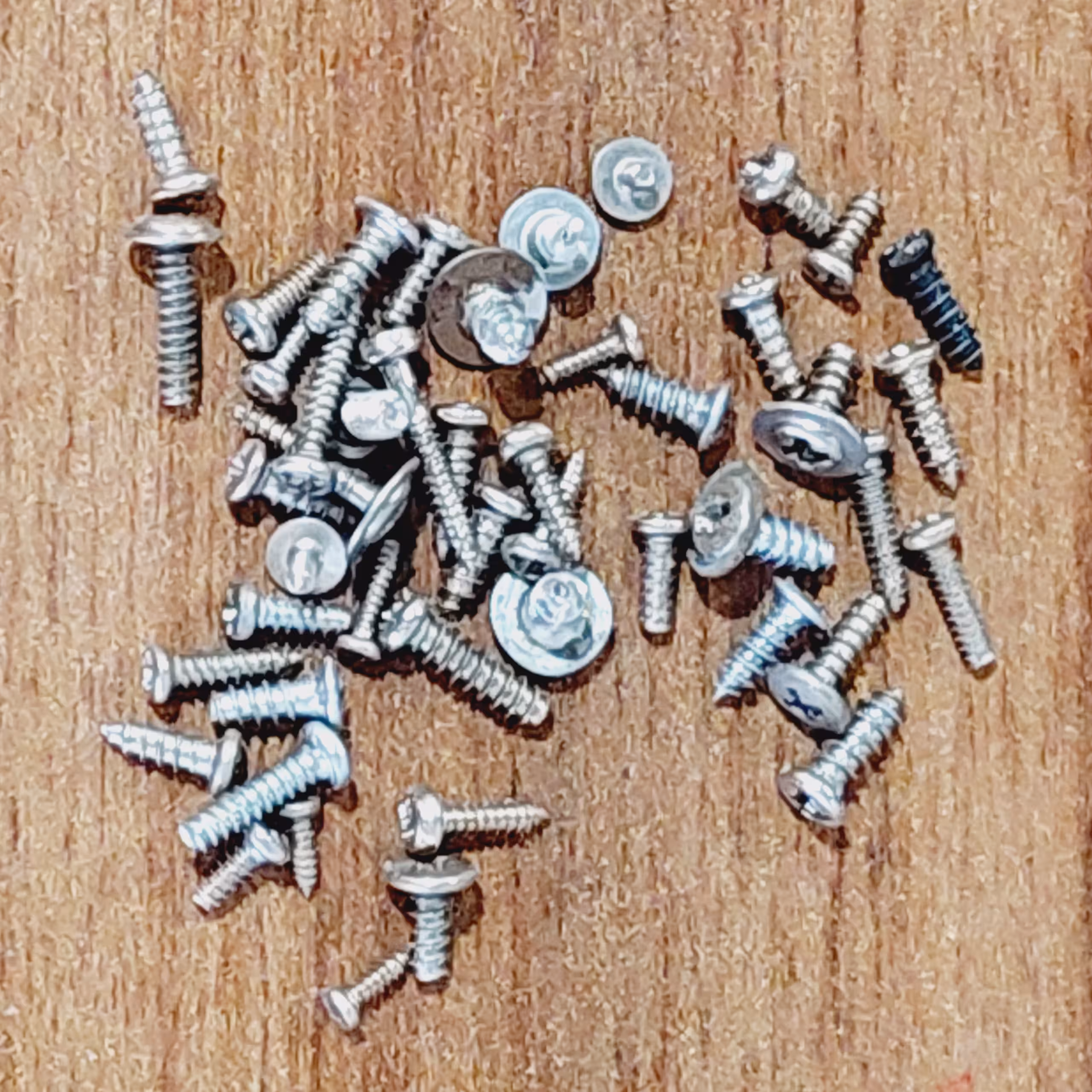 پیچ ریز خودرو بسته 50تایی متنوع