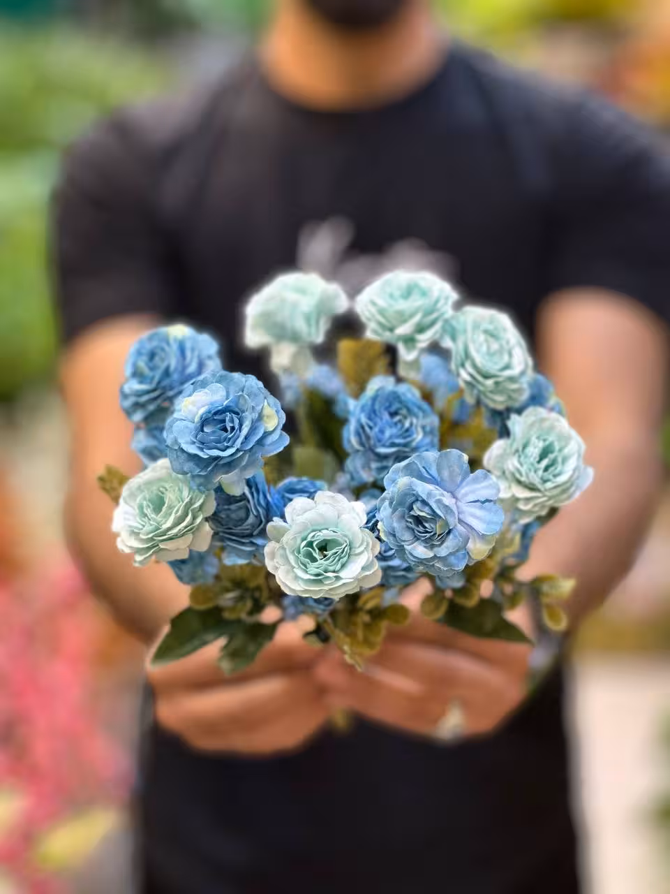 بوته داودی سرخس دار ابی