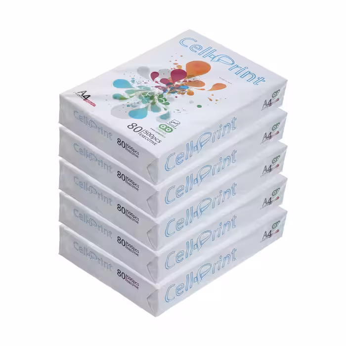 کاغذ A4 سل پرینت کد 01 بسته 5 عددی | چاوه