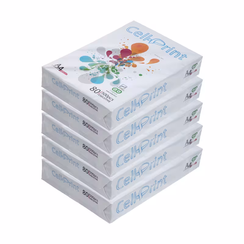 کاغذ A4 سل پرینت کد 01 بسته 5 عددی | چاوه