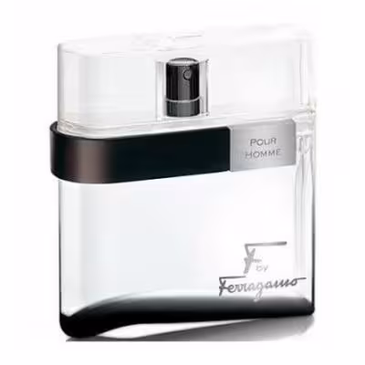 عطر مردانه سالواتوره فراگامو اف بلک(گرم)