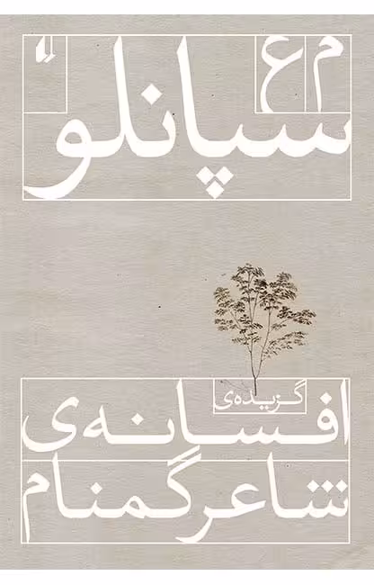 کتاب گزیده ی افسانه ی شاعر گمنام