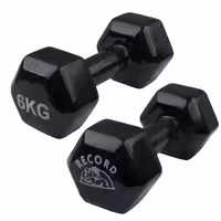 دمبل ایروبیک رکورد کد 1621 وزن 6 کیلوگرم بسته 2 عددی | کالا مکس