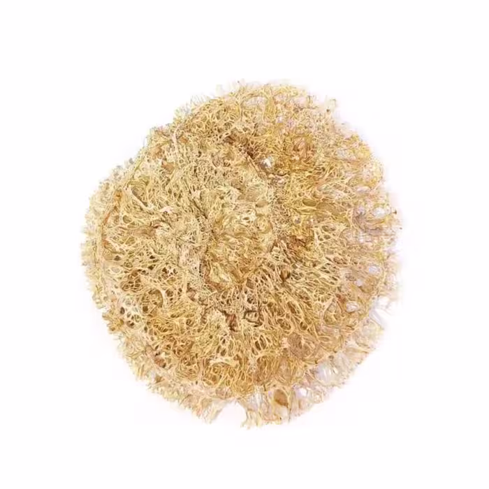 جاصابونی لوفا متراکم