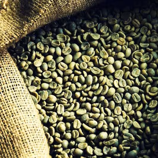 قهوه سبز ویژه عطاری