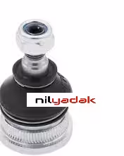 سیبک طبق کوپا ریگان  درجه یک