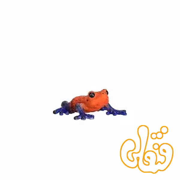 قورباغه درختی سمی Poison Dart Tree Frog 381016