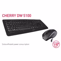 ست موس و کیبورد بی سیم ارگنومیک چری DW 5100