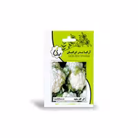 بذر گل کلم سفید آرکا بذر ایرانیان