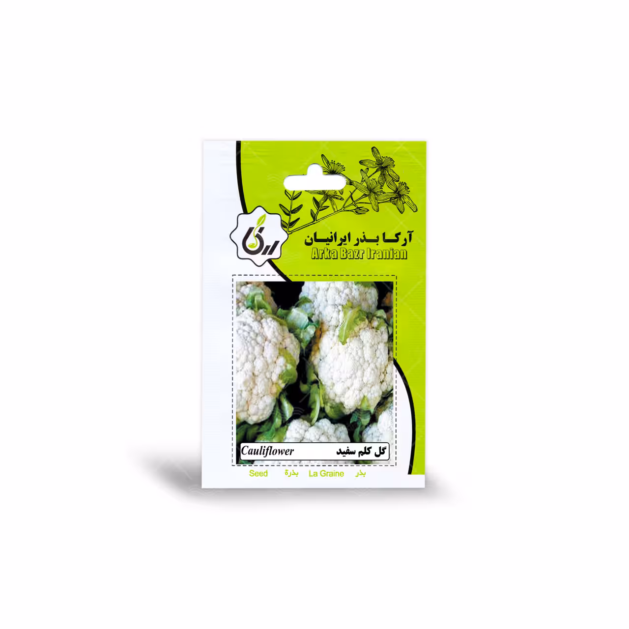 بذر گل کلم سفید آرکا بذر ایرانیان