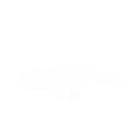 باندلSurvivorsault